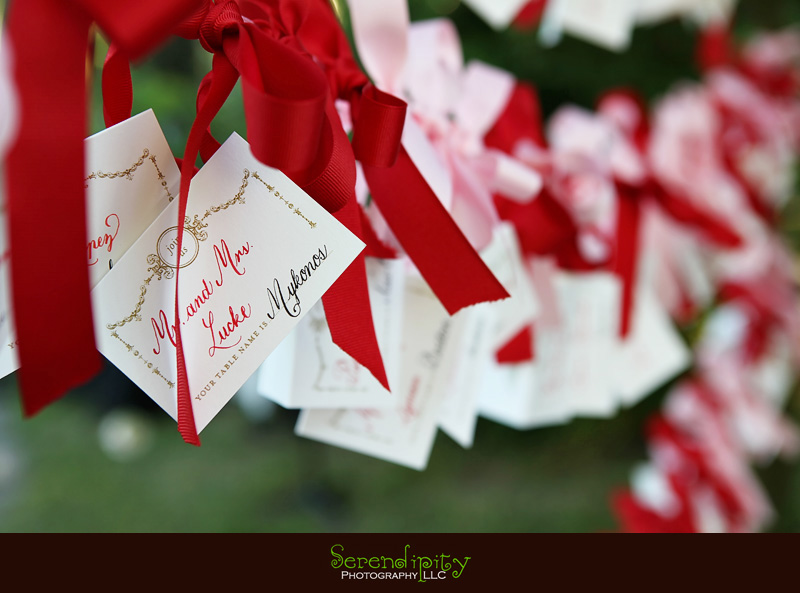 Austin wedding photography, outdoor ceremony, Barr Mansion, place cards with pink ribbons