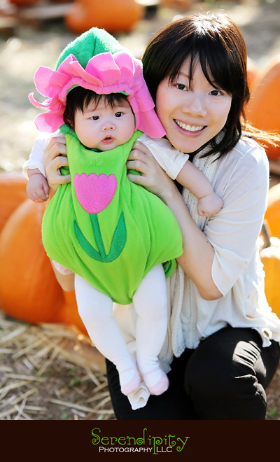 Houston Baby Photography, Houston Children Photography, Halloween Costume pictures, Pumpkin Patch pictures