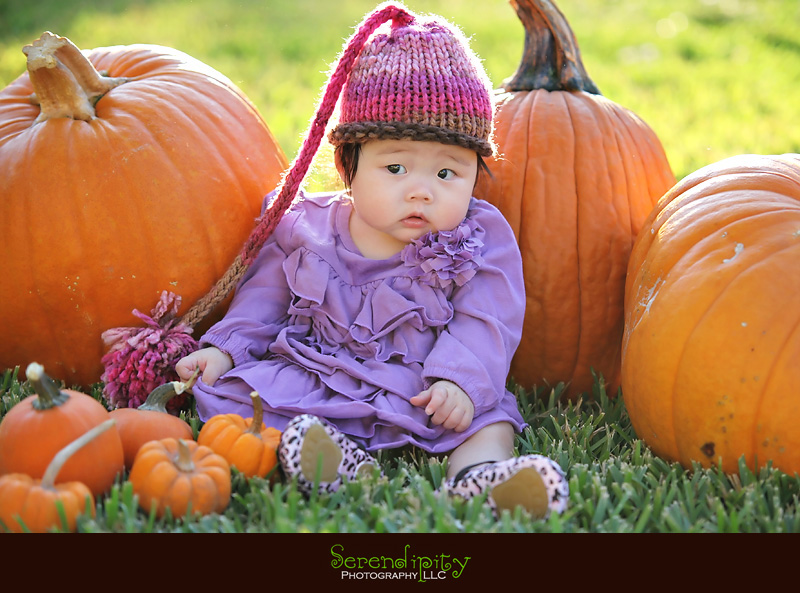 Houston Baby Photography, Houston Children Photography, Halloween Costume pictures, Pumpkin Patch pictures