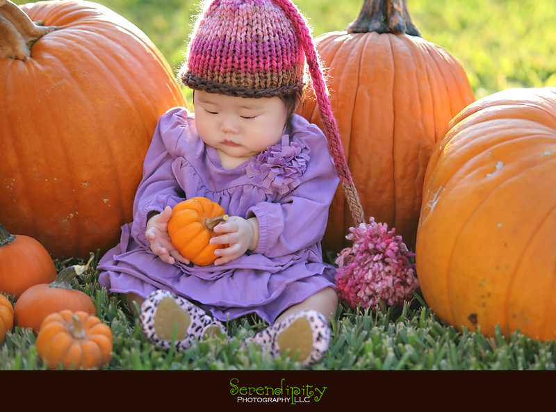 Houston Baby Photography, Houston Children Photography, Halloween Costume pictures, Pumpkin Patch pictures