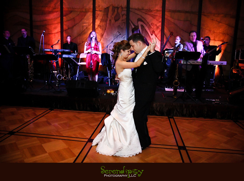 houston wedding photographer, holy rosary catholic church, petroleum club