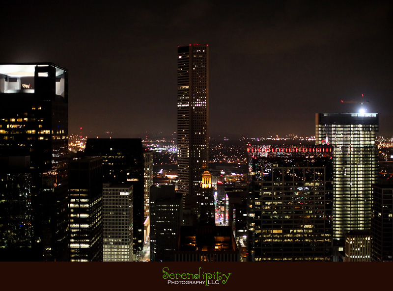 houston wedding photographer, holy rosary catholic church, petroleum club