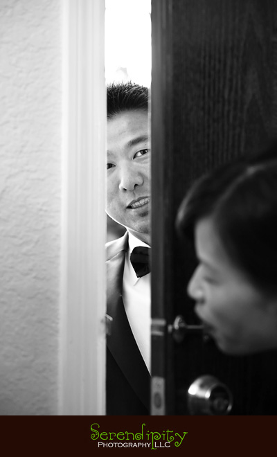 houston wedding photographer, gremillion and co fine art inc, hobby center