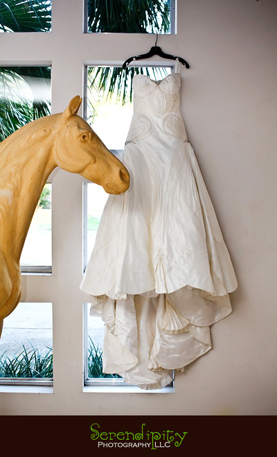 houston wedding photographer, gremillion and co fine art inc, hobby center