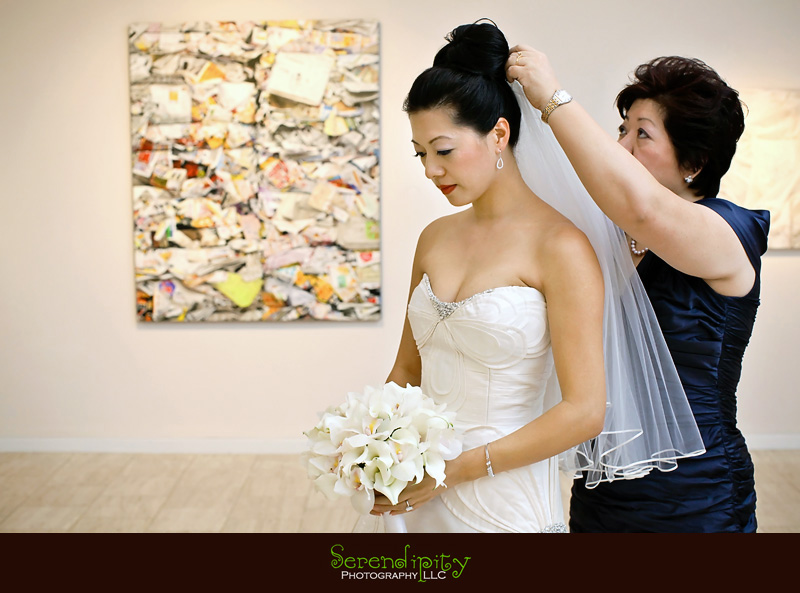 houston wedding photographer, gremillion and co fine art inc, hobby center