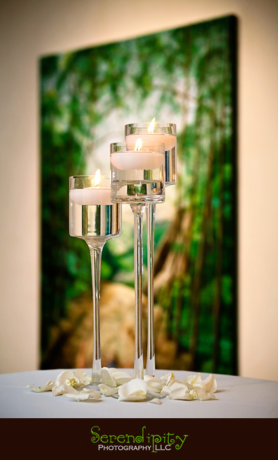 houston wedding photographer, gremillion and co fine art inc, hobby center