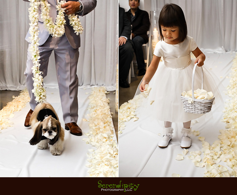 houston wedding photographer, gremillion and co fine art inc, hobby center