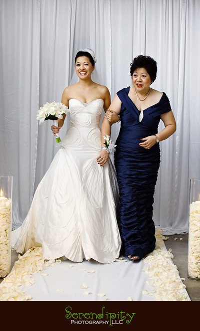 houston wedding photographer, gremillion and co fine art inc, hobby center