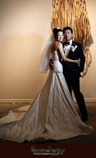 houston wedding photographer, gremillion and co fine art inc, hobby center