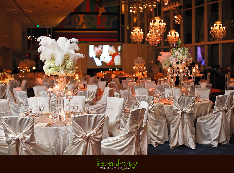 houston wedding photographer, gremillion and co fine art inc, hobby center