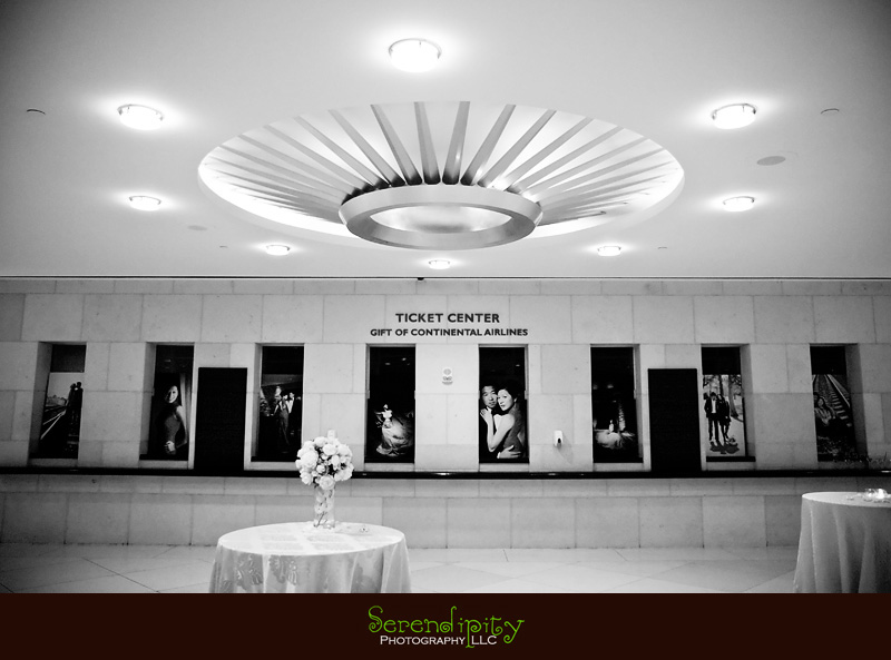 houston wedding photographer, gremillion and co fine art inc, hobby center