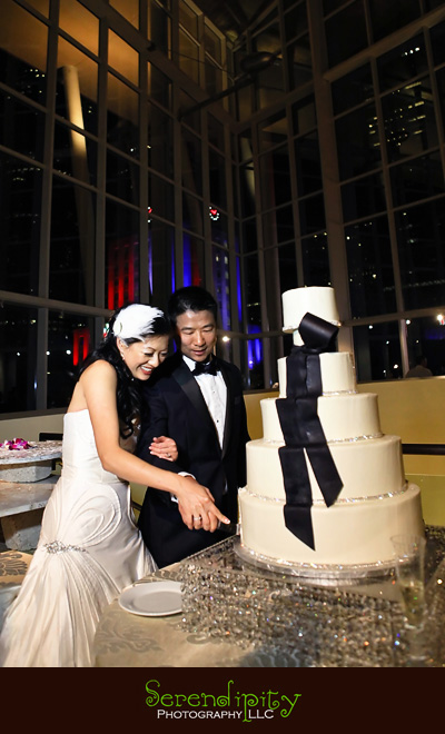 houston wedding photographer, gremillion and co fine art inc, hobby center