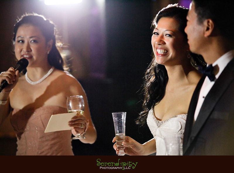 houston wedding photographer, gremillion and co fine art inc, hobby center