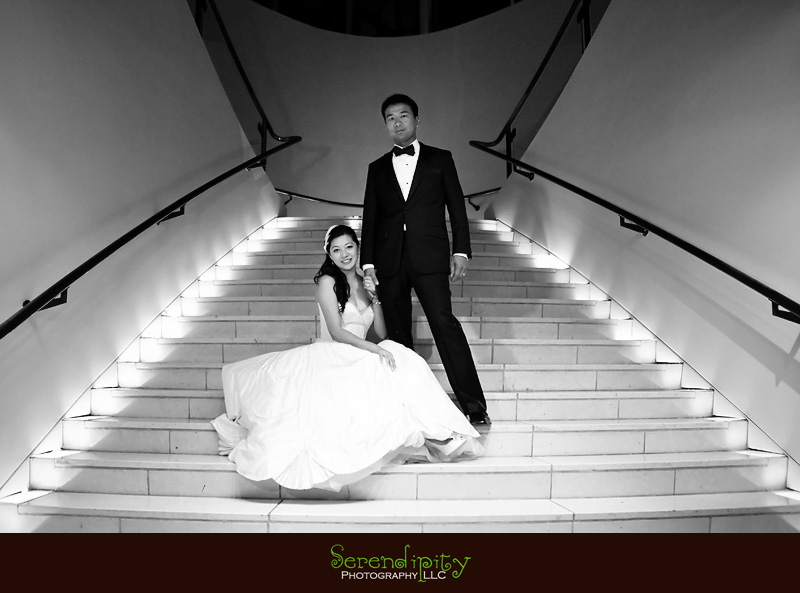 houston wedding photographer, gremillion and co fine art inc, hobby center