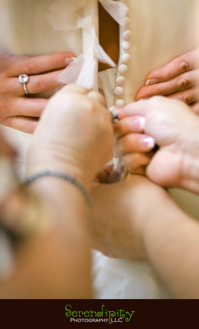 houston wedding photographer, La Colombe d