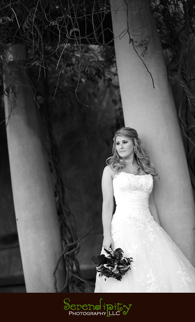 Hermann Park Bridal Portraits,Houston bridal portrait shoot, Houston bridal pictures, Houston Wedding photographer, houston outdoor bridal portrait photography session