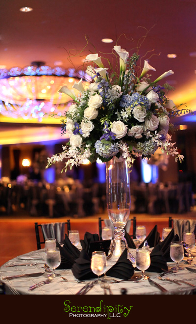 Houston Wedding Photography, Hotel Zaza Wedding Pictures, hotel wedding ceremony, hotel wedding reception