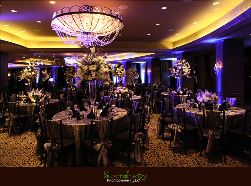 Houston Wedding Photography, Hotel Zaza Wedding Pictures, hotel wedding ceremony, hotel wedding reception
