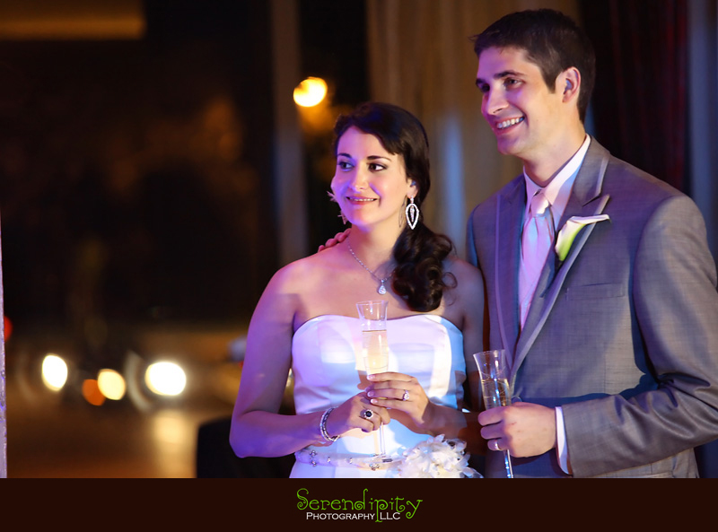 Houston Wedding Photography, Hotel Zaza Wedding Pictures, hotel wedding ceremony, hotel wedding reception