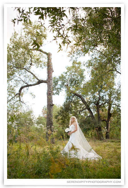 Houston bridal portrait shoot, Houston bridal pictures, Houston Wedding photographer, houston outdoor bridal portrait photography session